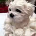 Mary Conkey - Facebook