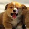 mary_conners00 - @mary_conners00 - TikTok