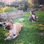 Mary Connick - @maryluchano777 - Instagram