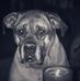 Mary Connick - Facebook