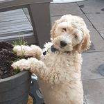 Mary Connick Connolly - @connolly7738 - Instagram