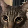 mary cooley - @marycooley - TikTok