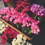 Mary Corbeil - @reggaewowty - Instagram