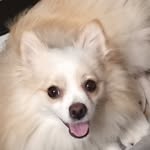 Mary F Miller - @mary.cordle.56 - Instagram