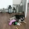 Mary Coster - @mary.coster5 - TikTok