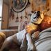 Mary Cottone - Facebook