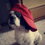 Mary Coveyou - @marycoveyou - Instagram
