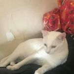Mary Covello - @mary_covello - Instagram