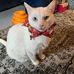 Mary Covello - Facebook