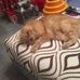 Mary Covello - Facebook