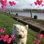 Mary Crabbe - @maryandtia - Instagram