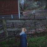 Mary Crane - @maryccrane - Instagram