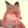 Mary Crane - @mary.crane - TikTok