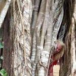 Mary Crivello Milburn - @marycrivellomilburn - Instagram