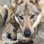 Graziella Croce Mary - @graziellacrocemary - Instagram