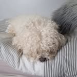 Mary cronnolly - @marycronnolly - Instagram