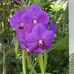 Mary Cronan - Facebook