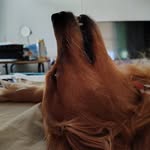 Mary Cronkhite - @marycronkhite - Instagram