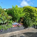 Mary Crowe - Facebook