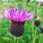 Mary Cuddihy Doheny - @marycuddihydoheny - Instagram