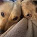 Mary Stoulig Culotta - Facebook