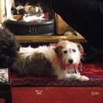 Mary Cushen - @mary.cushen - Instagram