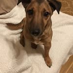 Mary Cushing - @mary.cushing.395 - Instagram
