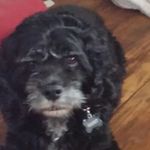 Mary Dabrowski - @mary.dabrowski.7 - Instagram