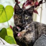Mary Dagg - @marydagg - Instagram