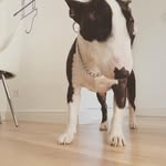 Mary Dameron - @binzetsying - Instagram
