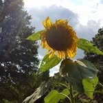 Mary Beth Danley - @mimi55.md - Instagram