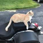 Mary Danley Catlett - @marydanleycatlett - Instagram