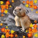 Mary Danner - @marydanner53 - Instagram