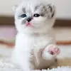 Mary Danner - @mary.danner - TikTok