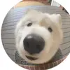 Mary Darnell - @marydarnell236 - TikTok