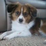 Mary Darrow - @mcpshadow8 - Instagram