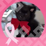 Mary Daubigny - @marydaubigny - Instagram