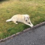 Mary Deasy - @marydeasy1954 - Instagram