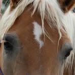 Mary Deatherage - Facebook