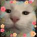 Mary Deblasio - Facebook
