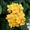 marydeboe - @marydeboe - TikTok