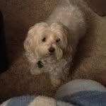 Mary Deglopper - @mary_dedominicis - Instagram