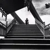Mark_Deerwester - @Mark_Deerwester - TikTok