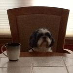 Mary DeFazio - @mtd1205 - Instagram