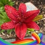 Mary DeJong - @mdejong1998 - Instagram