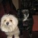Mary Delisle - Facebook