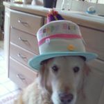 Mary Beth Demeter - @marybethdemeter - Instagram