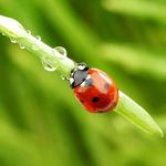 Mary Rosebud - @mary.demos.7 - Instagram
