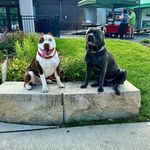 Mary Dennis Shockley - @mary_dennis - Instagram