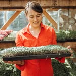 Mary Densmore - @bee_simple - Instagram